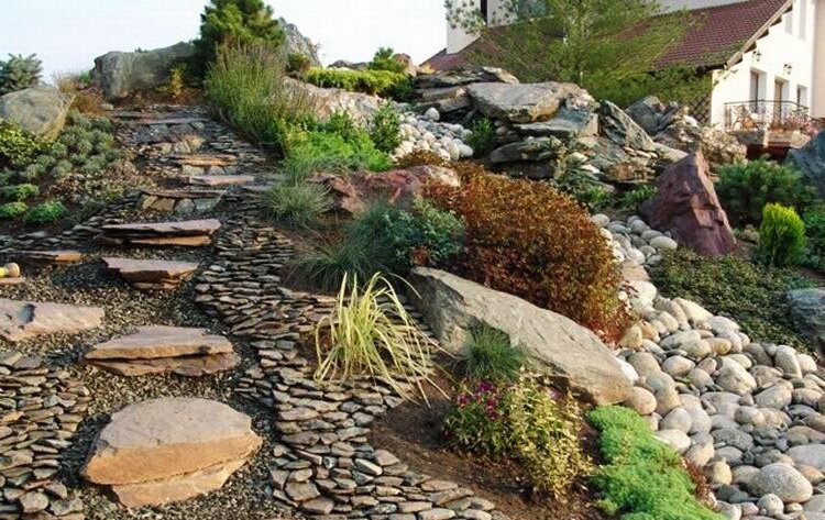 Succulent Landscape Design