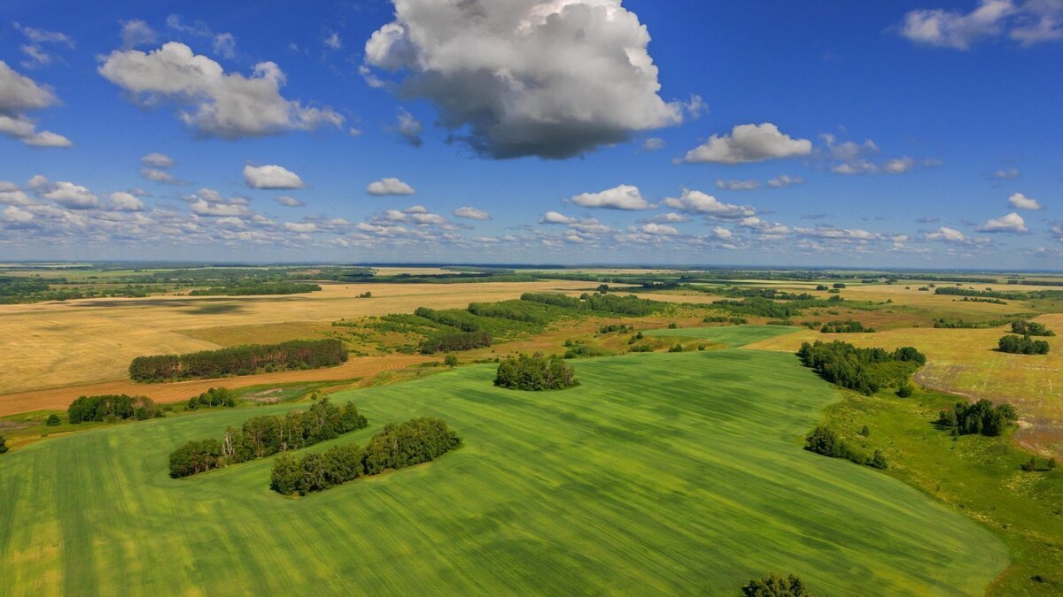 Россия. Восточно-Европейская равнина.