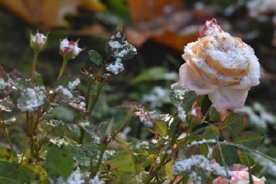     В ночь на 31 октября столицу Татарстана ждут сильные осадки. Владимир ВЕЛЕНГУРИН