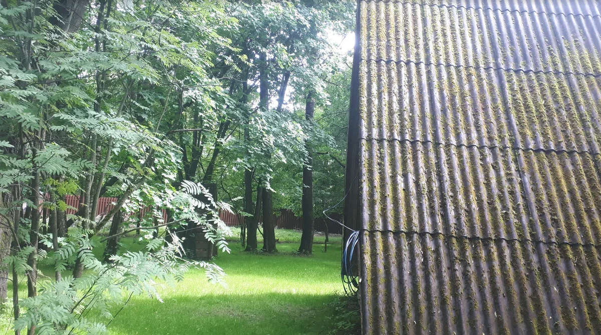 Фотография взята из источника sovet.boltai.com