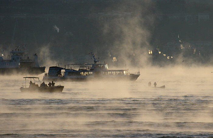     Корабли в Севастопольской бухте.Алексей Павлишак/ТАСС