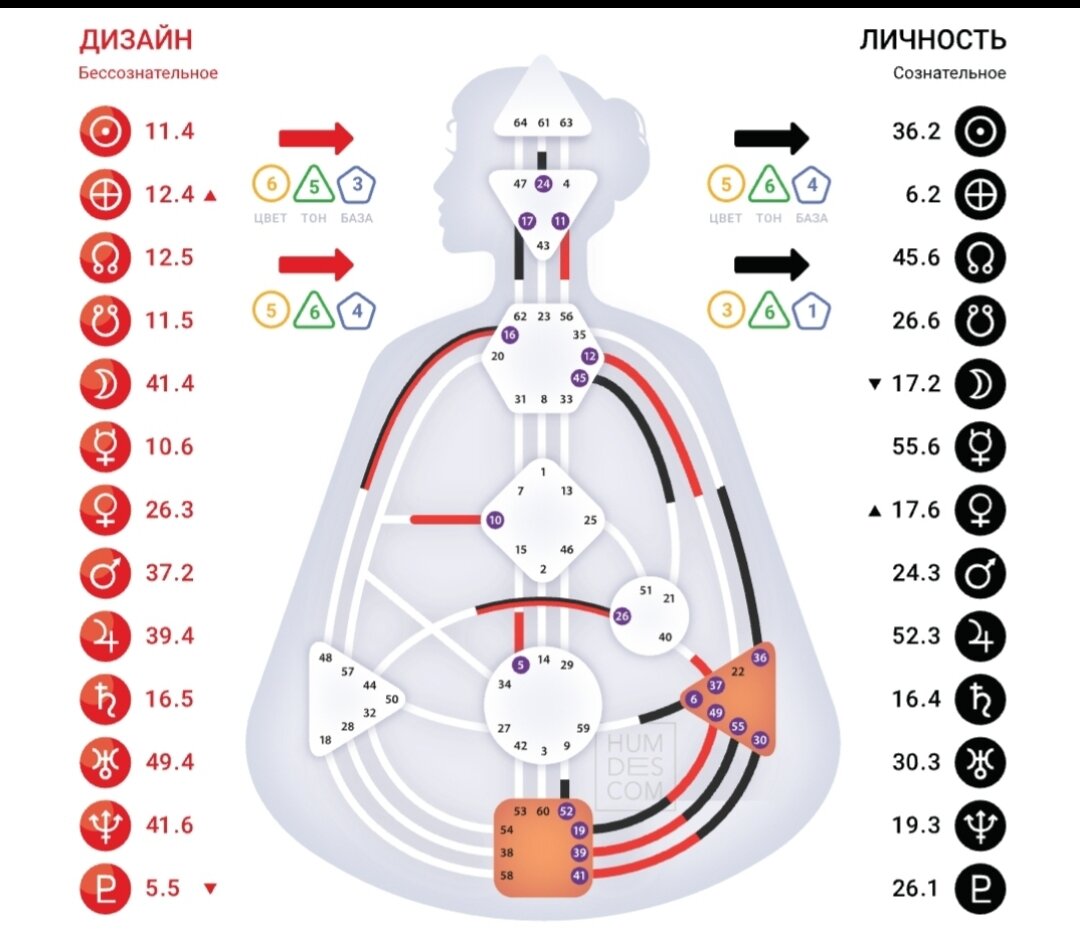 55 ворота дизайн