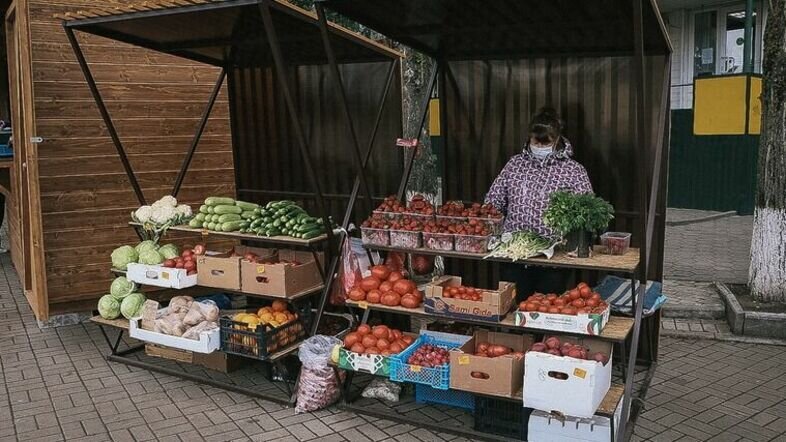     Тюменские аграрии завершили уборку урожая. По данным регионального департамента АПК, урожайность овощей с 1 га составила около 520 центнеров. Это рекордное значение за последнее время.