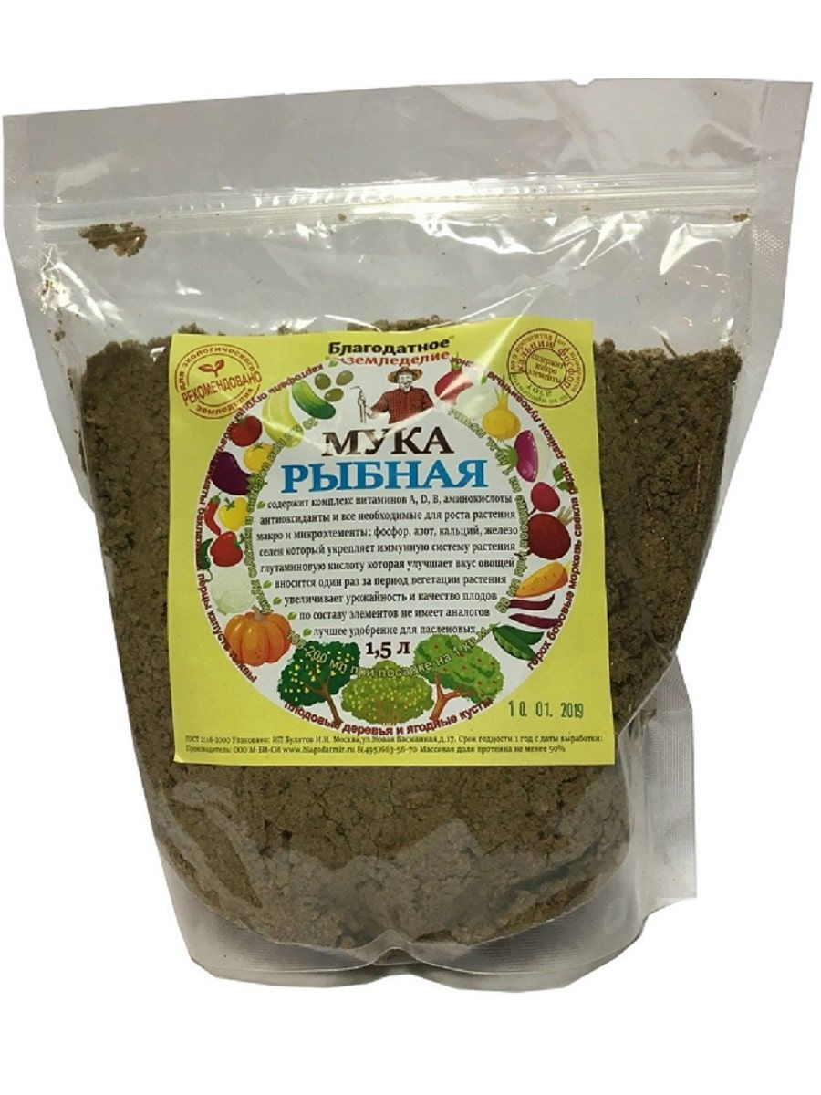 ���� � �������: ��� ��������� � ����� �����