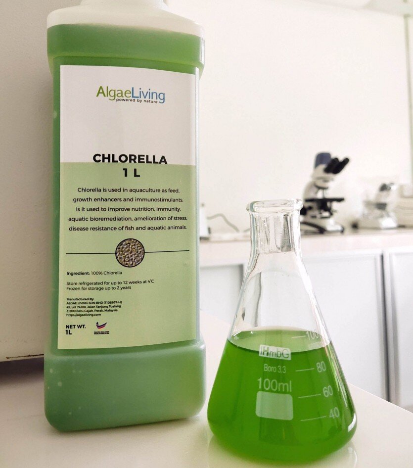 зеленый помощник