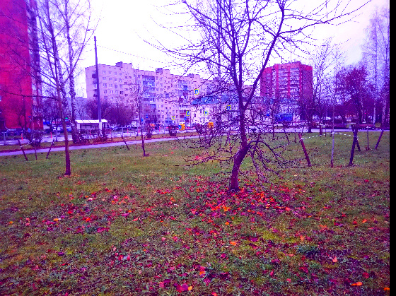 Фото автора Ирины Одарчук Природа осенью в городе Тосно, Ленинградской области