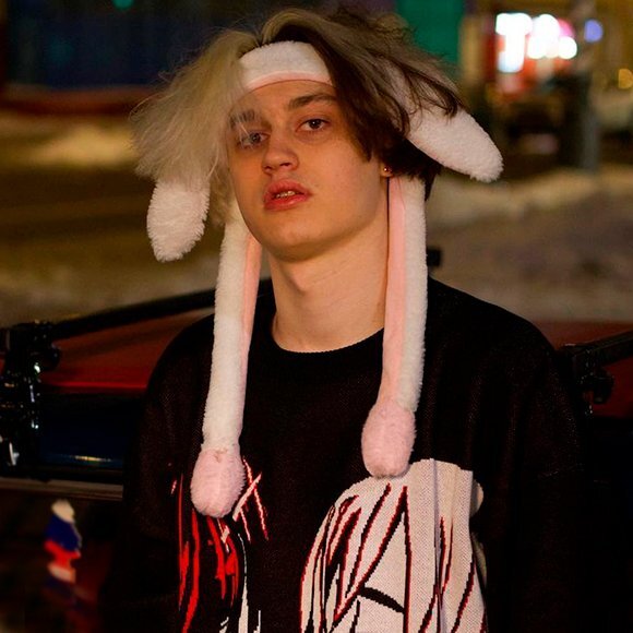 блоггер заяц