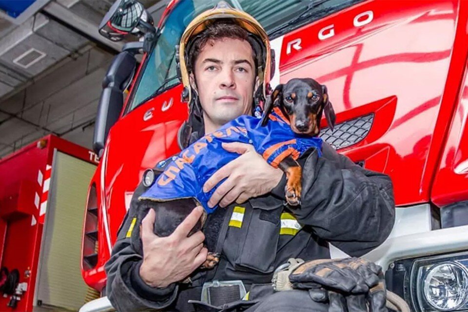     Такса Маруся. Фото: Пресс-служба Департамента по делам гражданской обороны, чрезвычайным ситуациям и пожарной безопасности города Москвы