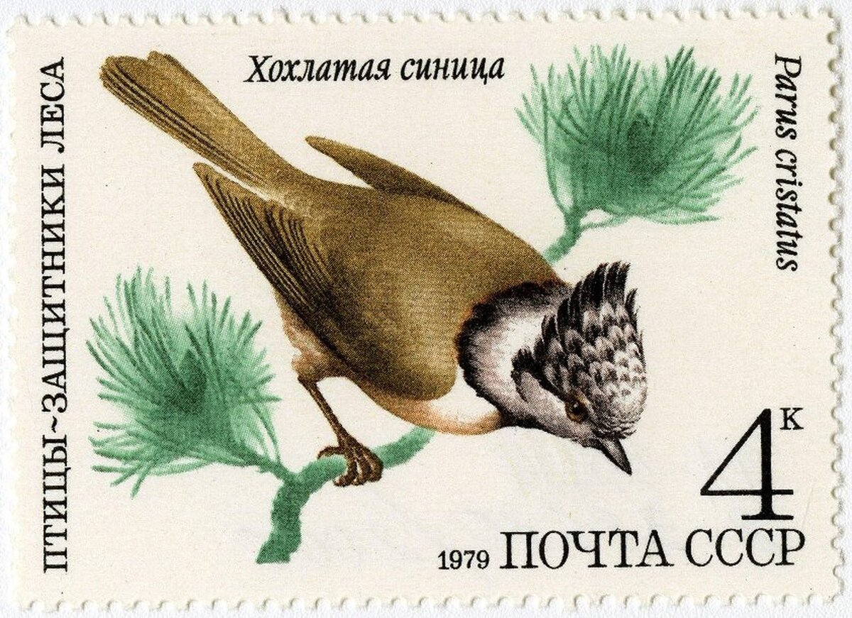 Рисунок Н. Литвинова. Марка почтовая. № 5003. Хохлатая синица. 1979 г. Из собрания ГВСМЗ