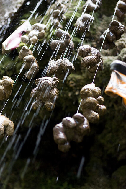 Этот волшебный водопад превращает в камень все, что к нему прикасается