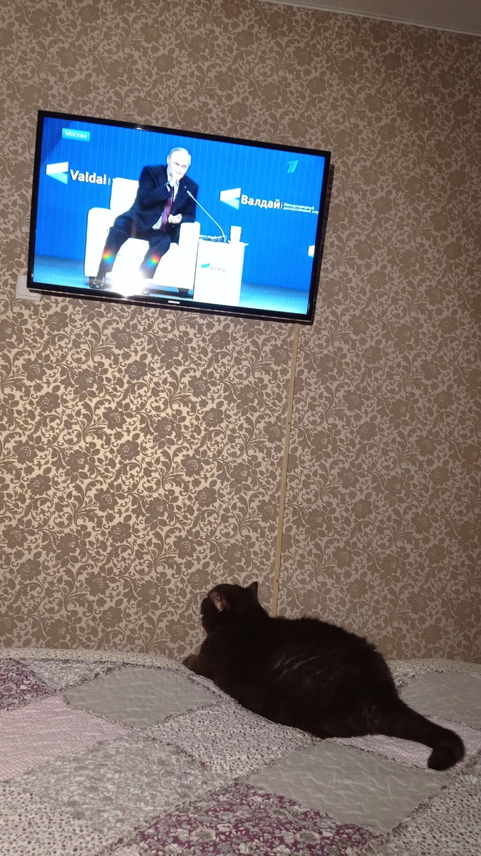 Политика и мы