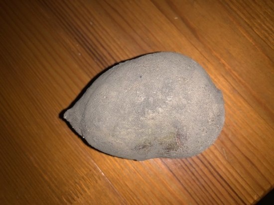     фото: МК в Туле