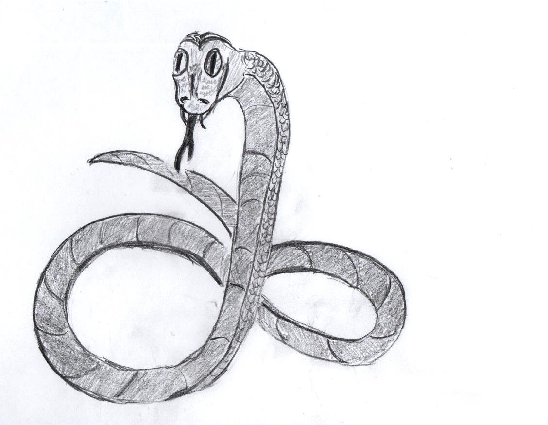 и это интересно 