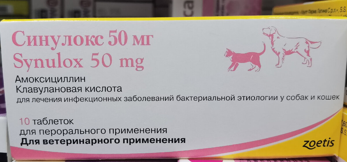 Антибиотик для собак и кошек на букву с. Антибиотики кошке при мертворождении. Синулокс 250 для собак купить