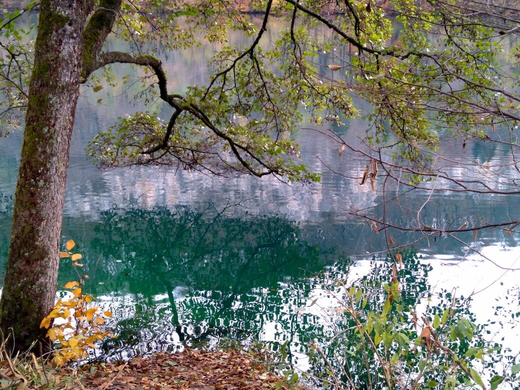 Фото  Ларисы Малковой