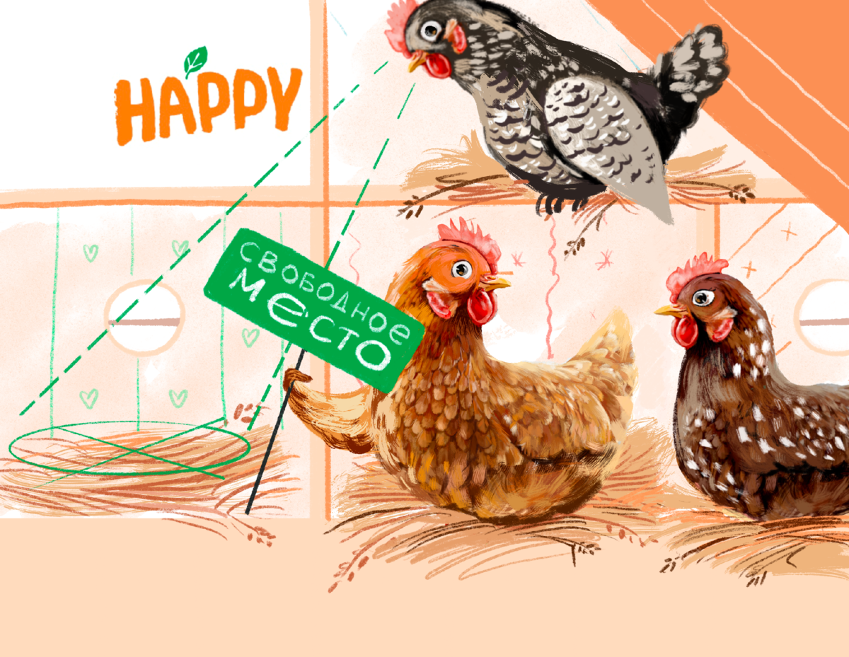 Для подсобных хозяйств идеальное число кур на 1 кв.м составляет от 13 до 16.