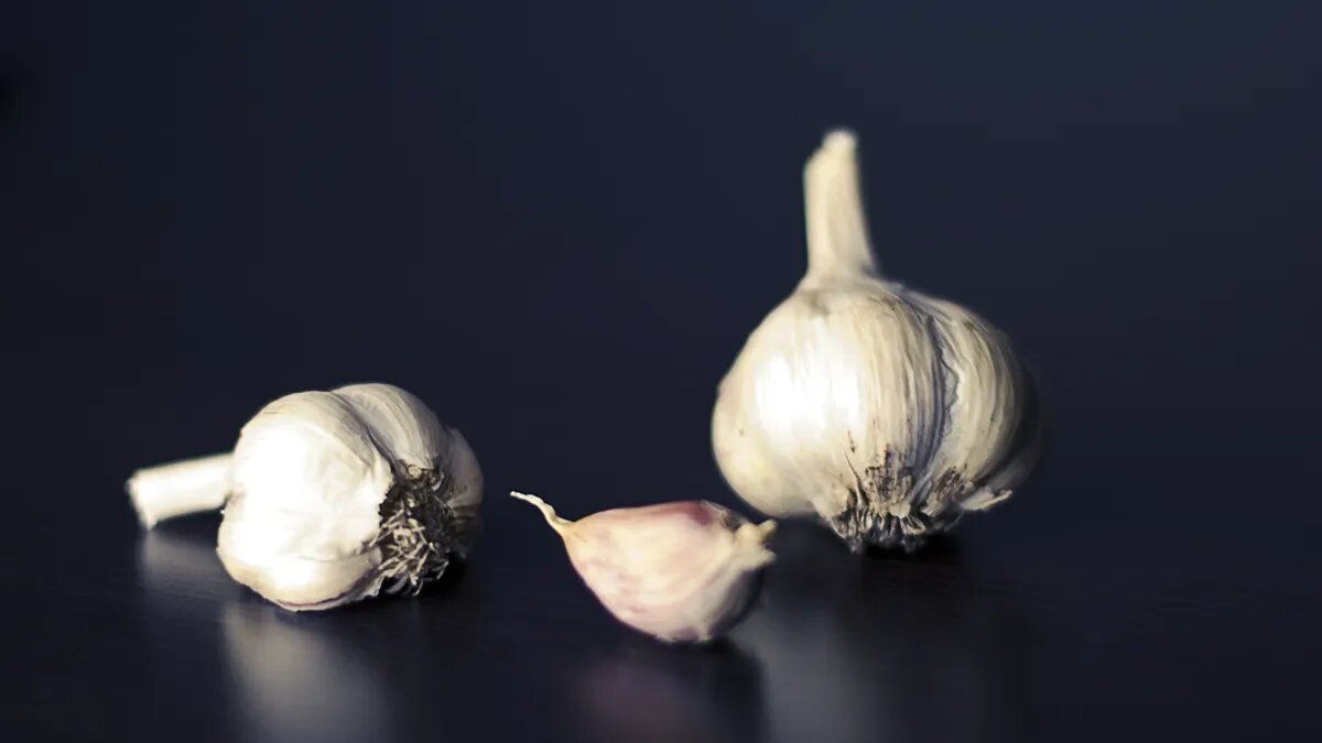 Фото: pxhere.com