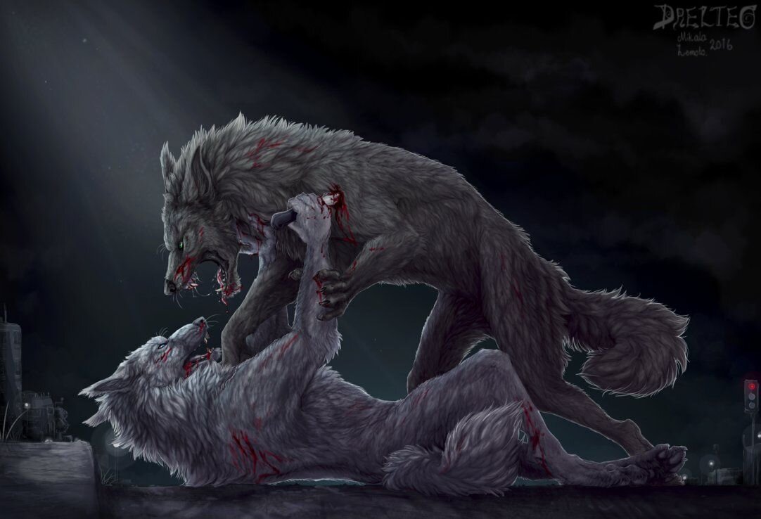 яндекс-картинки