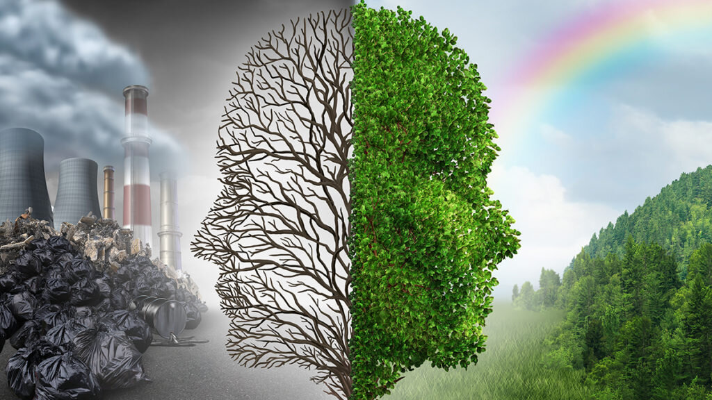 Фото яндекс.картинки