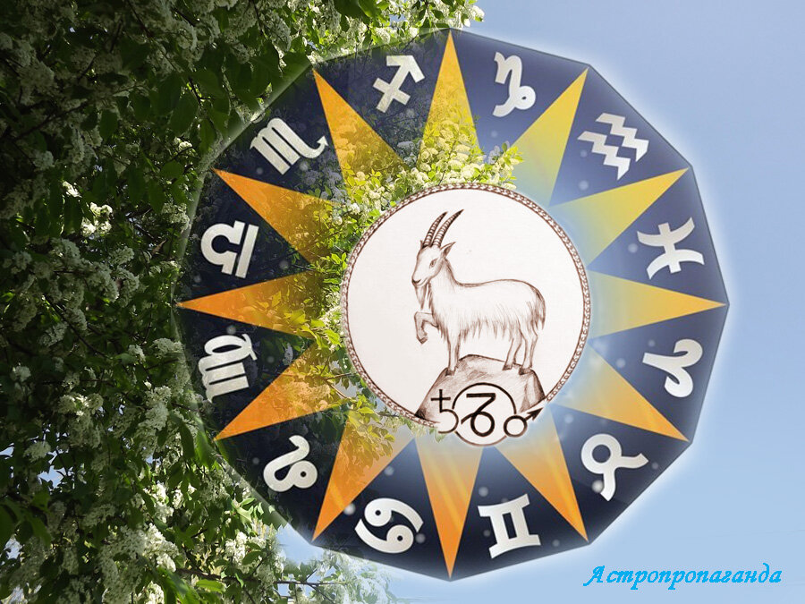 Коллаж Нины Стрелковой. 