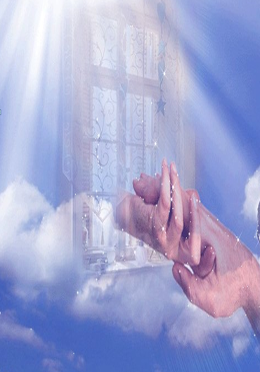 ( Фото с просторов интернета.)