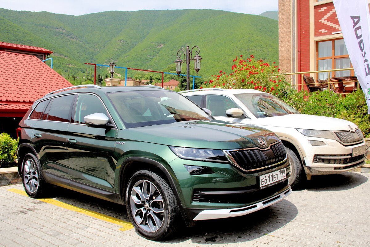 Купить шкоду кодиак цены. Skoda Kodiak 2020. Шкода Kodiaq 2020. Skoda Kodiaq 2020 зеленый. Шкода Кодиак 2022 зеленый.