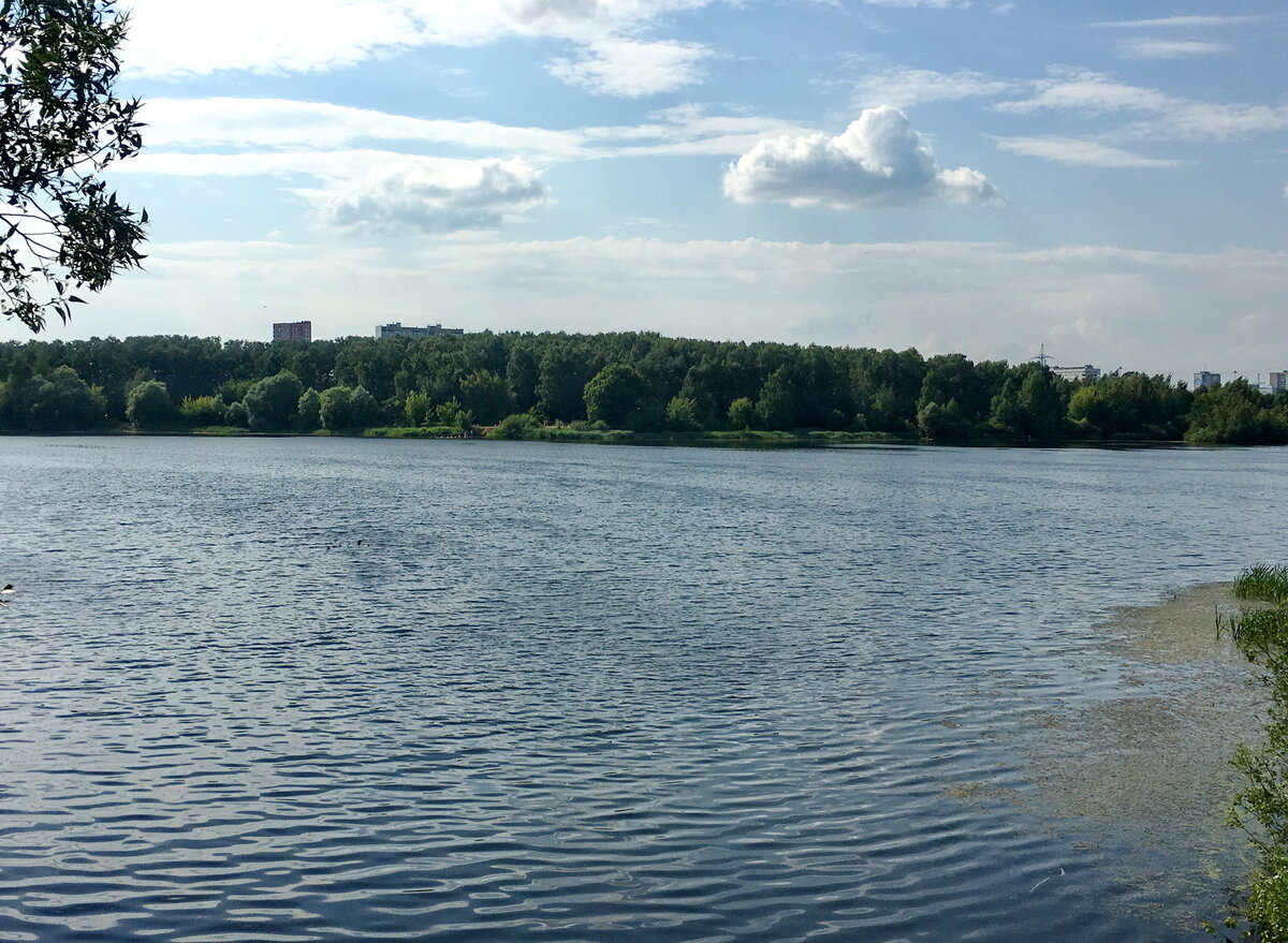 Чёрное озеро Москва Косино