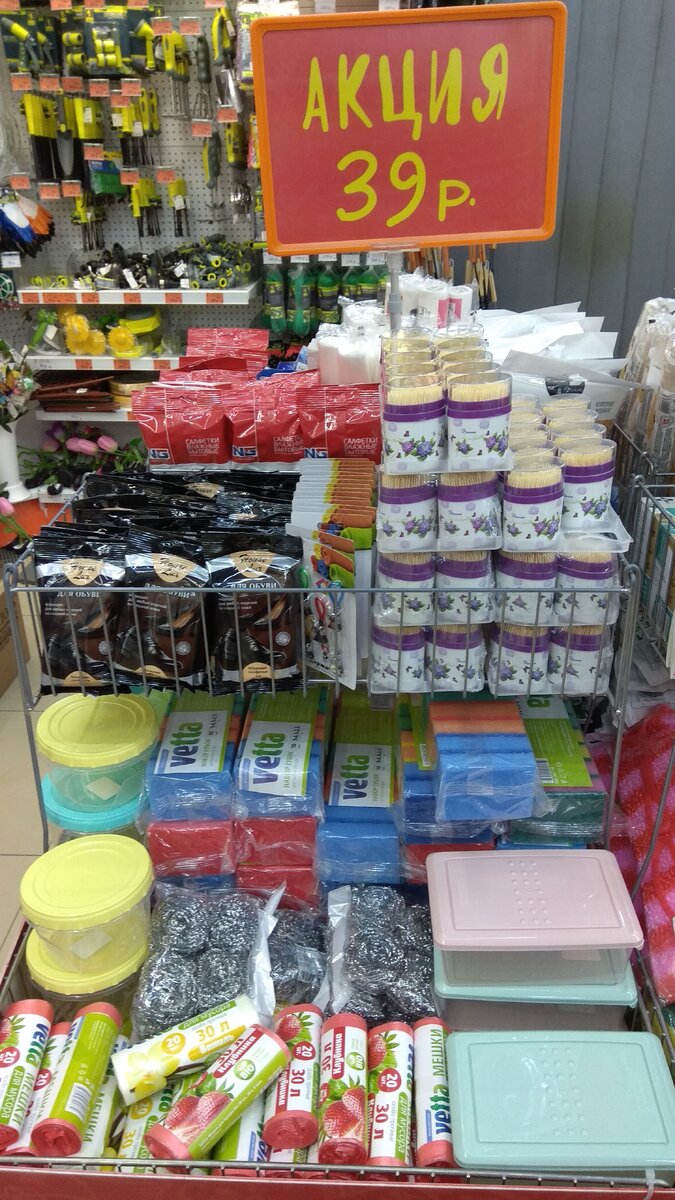 Фото автора статьи. Для улучшения качества нажмите на снимок.