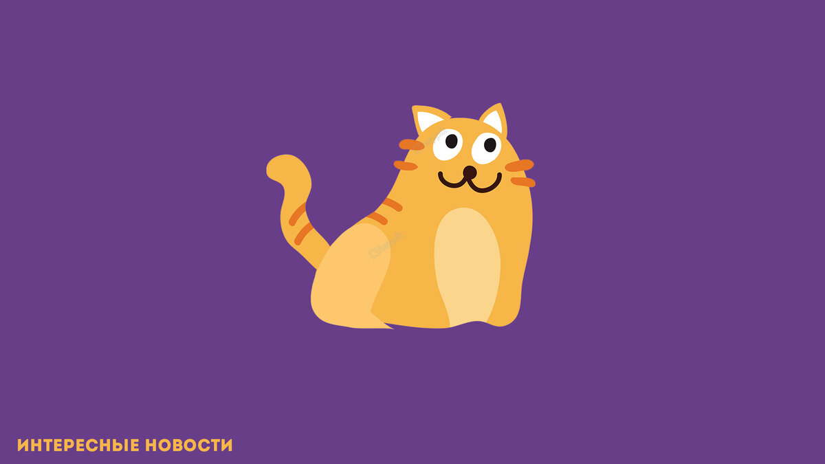 Изображение: "Коты и их криминальные повадки"