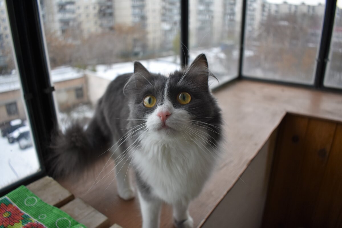 Казявка моя!  :-P