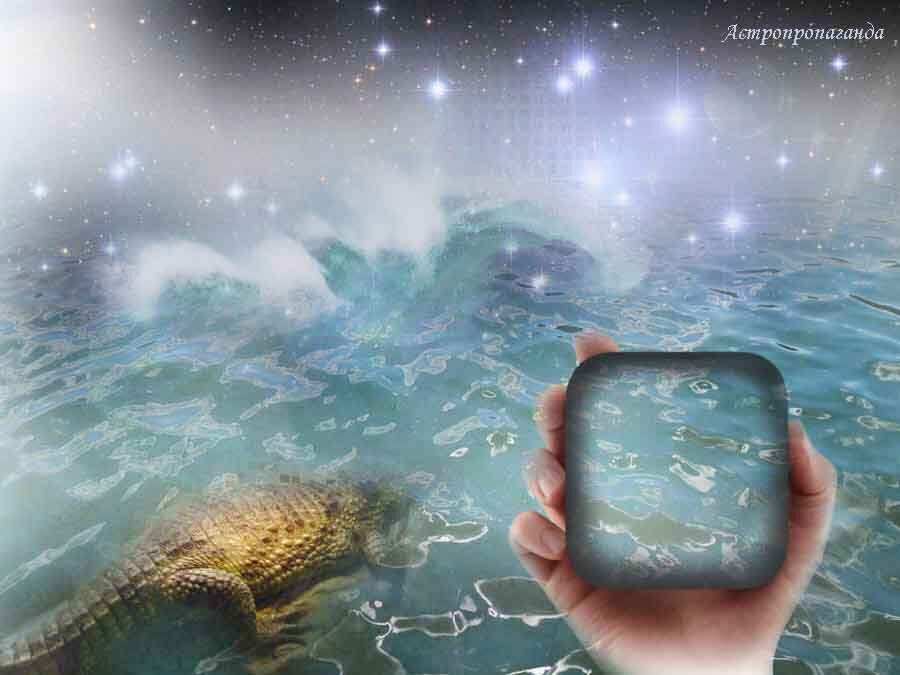 Коллаж Нины Стрелковой.