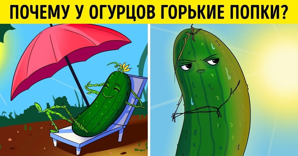 Фото с сайта:  https://mavubu.ru