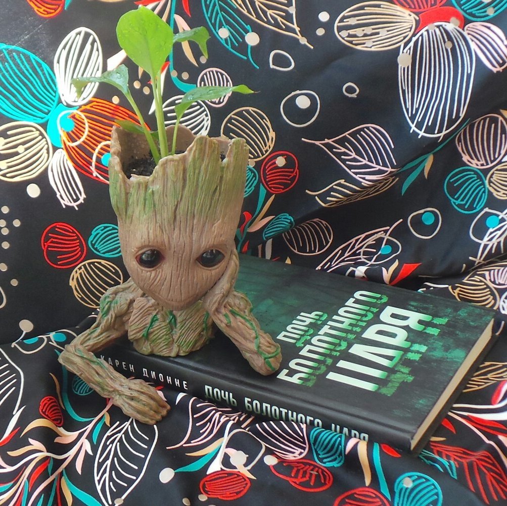 КАРЕН ДИОННЕ «ДОЧЬ БОЛОТНОГО ЦАРЯ»