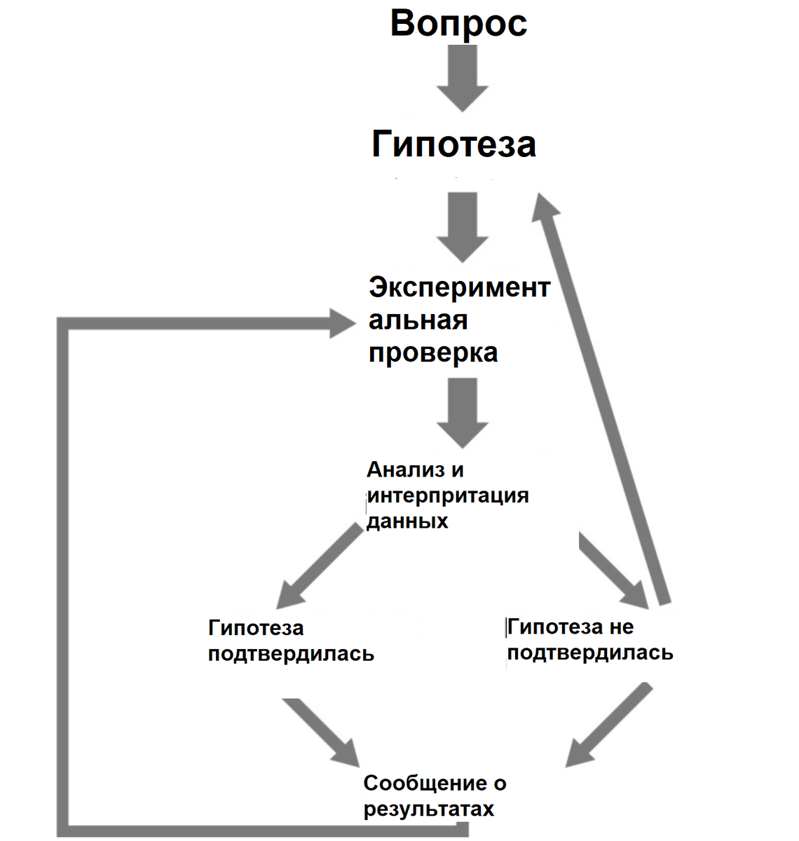 Как проводят нейропедагогические исследования? | Нейропедагогика | Дзен