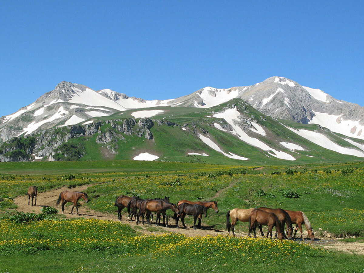 Лаго Наки горы