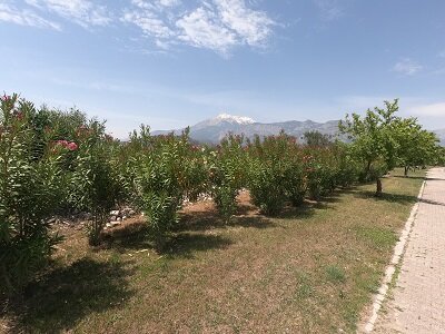 Отель Гранд Мирамор находится на территории турецкого курортного поселка Кириш. Миниатюрные размеры делают населенный пункт уютным, ясная погода – гостеприимным, горы – живописным, а близость к Средиземному морю – самым желанным местом для отдыха.
Погода здесь такая же, как и в Кемере – курортном городе, расположенном всего в 5-ти км от Кириша. К слову, популярностью у туристов Кемер пользуется из-за того, что входит в состав Турецкой Ривьеры. 