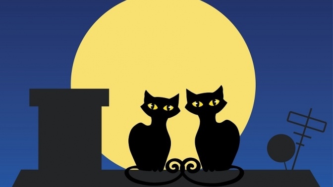 Фото взято из yandex.ru