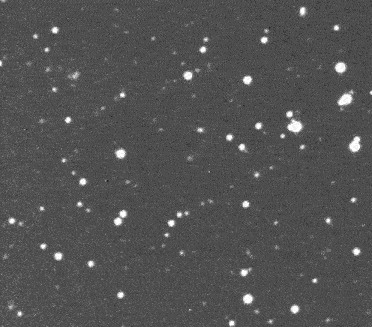 Геннадий Борисов