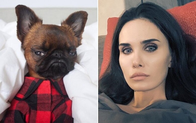 Этот коллаж - творчество автора. Простите, не удержался.