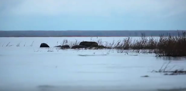 Рыбинское водохранилище