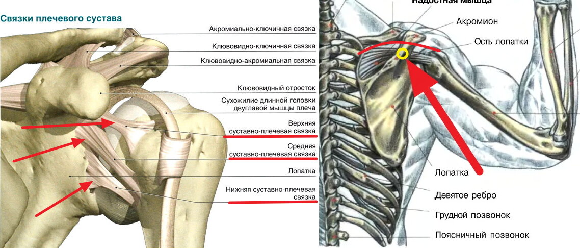 Короткие мужские рубашки