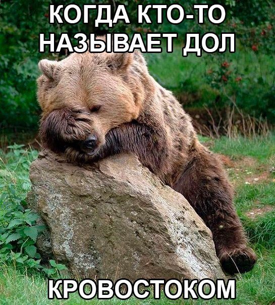 Дол – то, что школьники так любят называть кровостоком. Естественно, подобных функций дол не имеет, а призван он, скорее, облегчать вес клинка, сохранив его продольную жесткость.
Не называйте дол кровостоком, если не хотите получить клеймо нуба на форуме