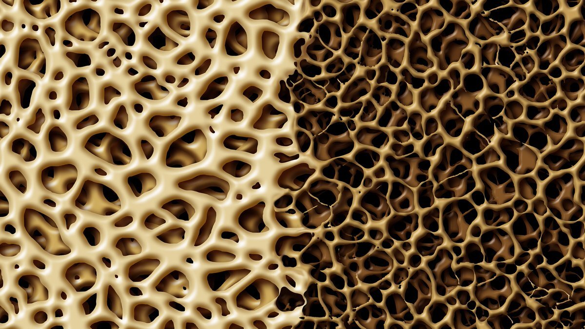 Фото взято из Яндекс картинок