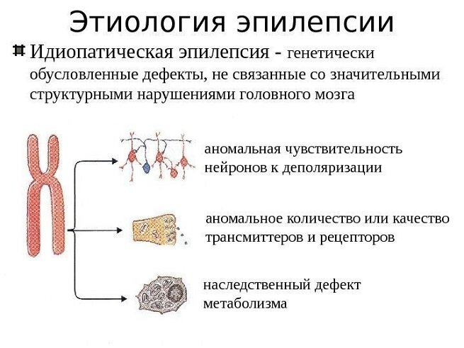 Специалисты