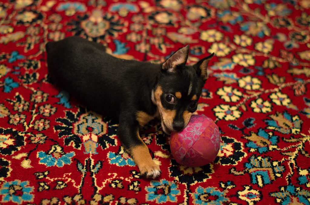 Из личного архива