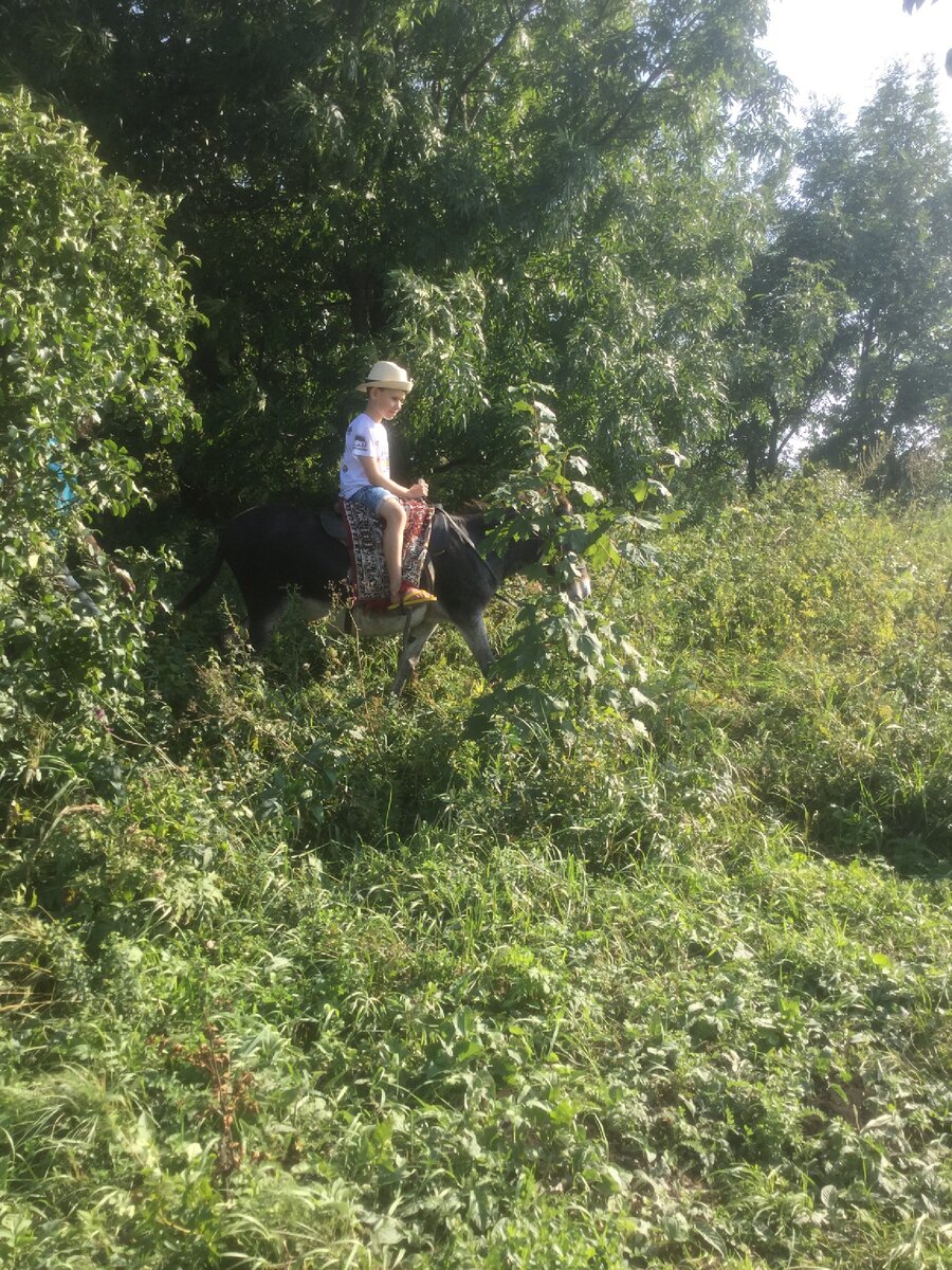 На вершине Машука.