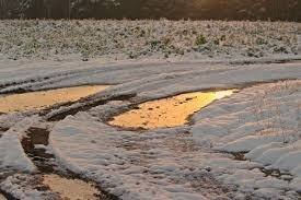 Фото из открытых интернет-источников