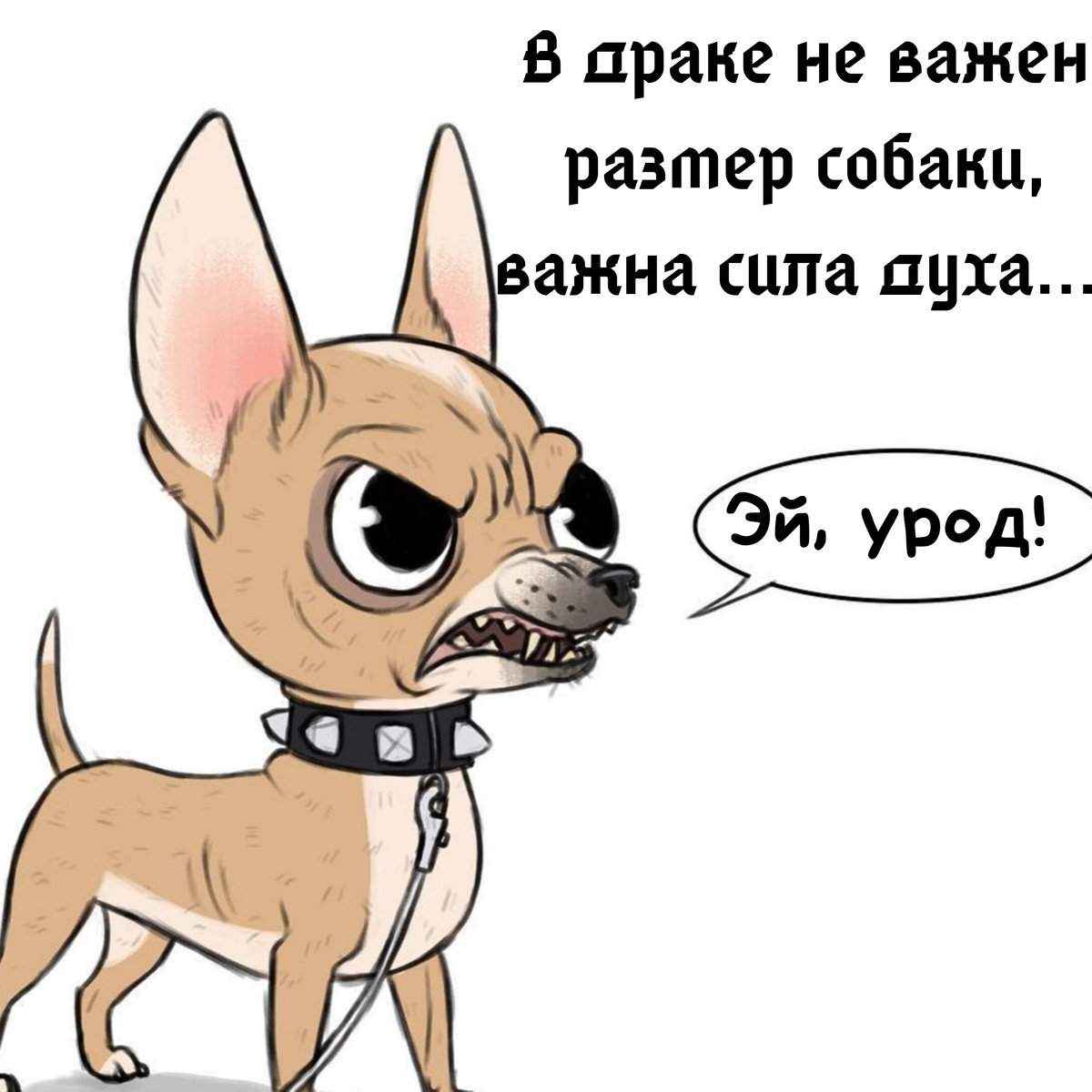 Pet перевод на русский. Пикси и брут чихуахуа. Пикси из Пикси и брут. Комиксы про чихуахуа. Брут и чихуахуа комикс.