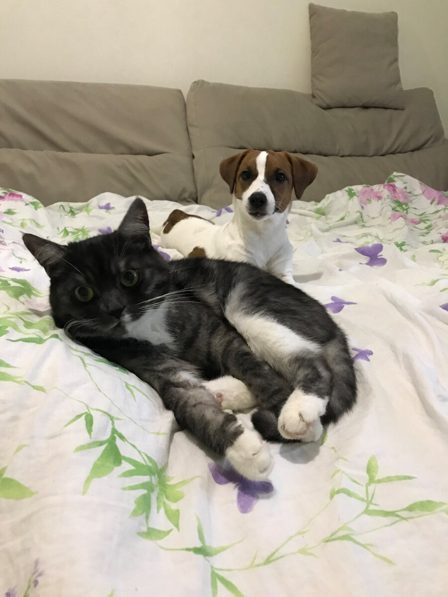 тут мы просто отдыхаем