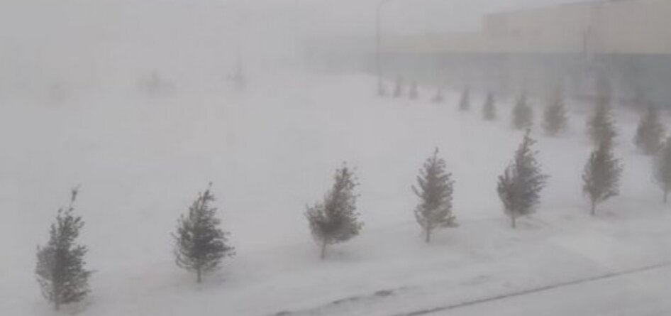 Фото взято на просторах интернета